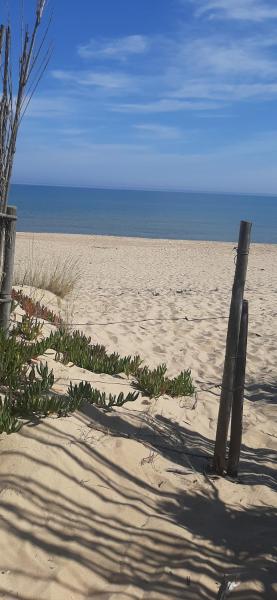 Dune Dorate,Tramonti Infiniti la tua oasi di pace in Dune ! Aprile al Mare in Appartamento con vista panoramica e WiFi